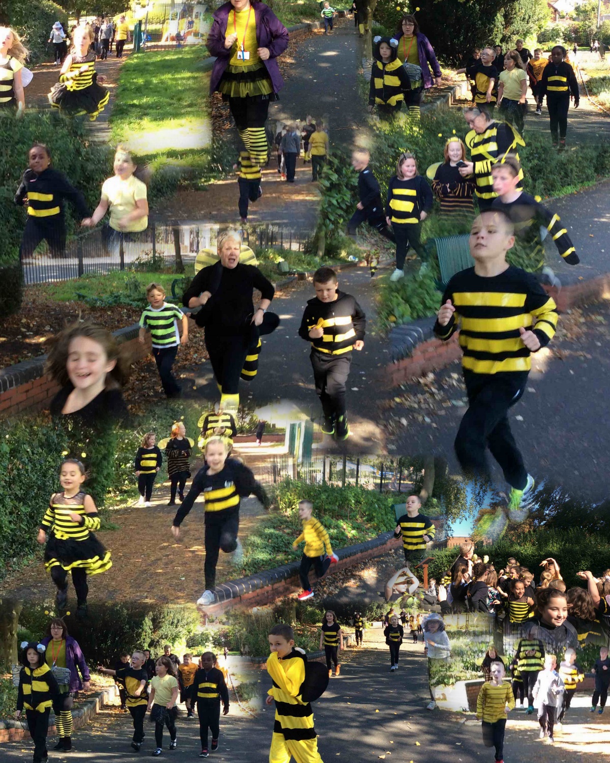 Bee park run L_AutoCollage_13_Images.jpg